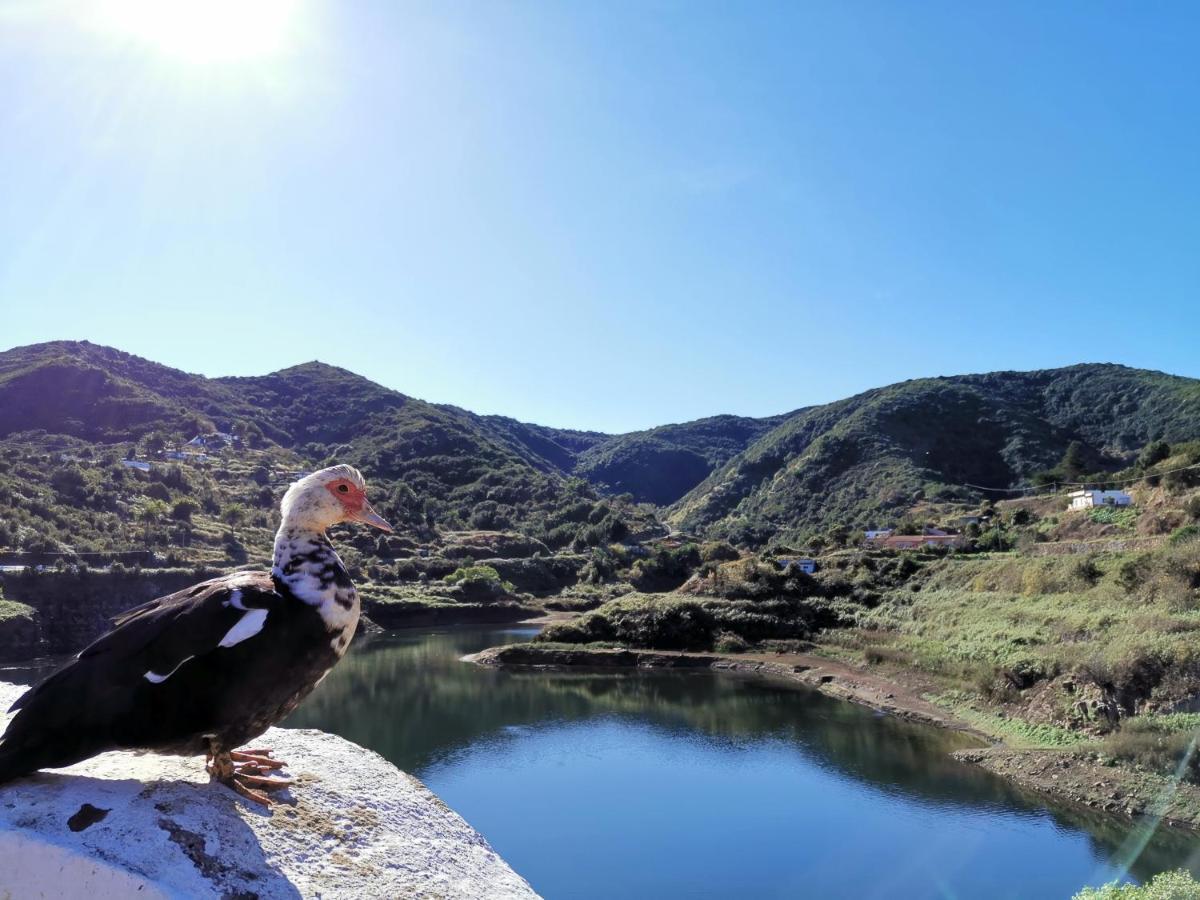 Casa Rural Leo: Remanso De Paz Y Tranquilidad 阿古洛 外观 照片
